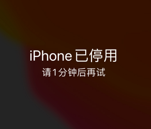 长垣苹果手机维修分享:iPhone 显示“不可用”或“已停用”怎么办？还能保留数据吗？ 