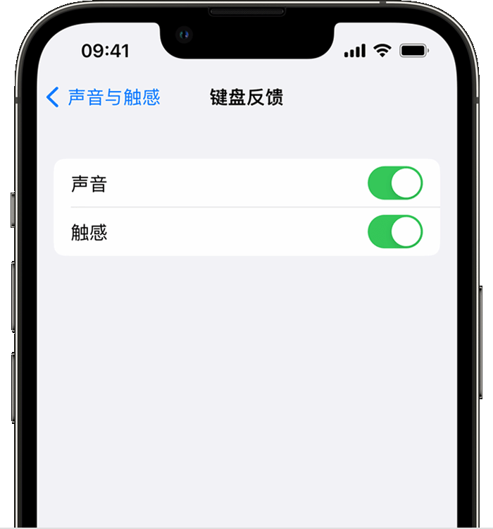 长垣苹果14维修店分享如何在 iPhone 14 机型中使用触感键盘 