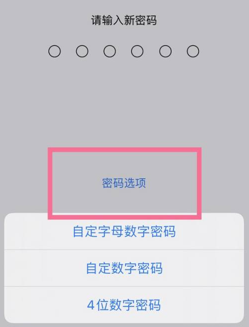 长垣苹果14维修分享iPhone 14plus设置密码的方法 