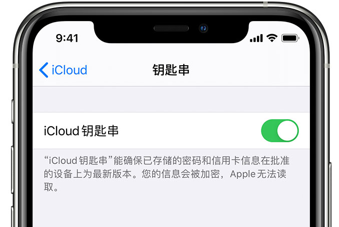 长垣苹果手机维修分享在 iPhone 上开启 iCloud 钥匙串之后会储存哪些信息 