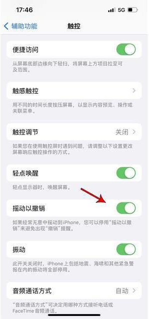 长垣苹果手机维修分享iPhone手机如何设置摇一摇删除文字 